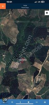 Bursa Osmangazi Aksungur Mah Satılık Tarla