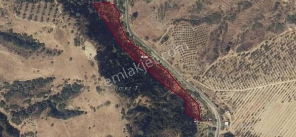 Satılık Fırsat Tarla