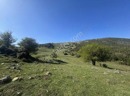Gemlik Şahinyurdu Alafat Mevkii 2208 M2 Satılık Tarla