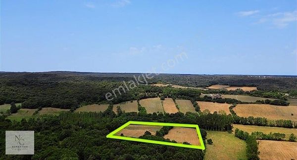 Sinop,abalı'da 20 Dönüm Satılık Tarla