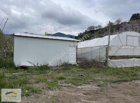 *genç Grup* Nehre Ve Asfalta Cepheli 13.825m2 Kurulu Sistem Sera