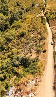 Tapuçarşı'dan Bayraktepe Mahallesi Satılık Fındıklık 16 Dönüm