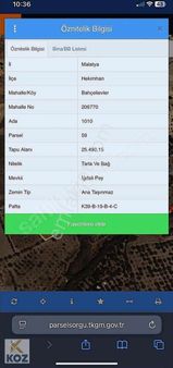 Hekimhan Da Acil Satılık Üzüm Bağı