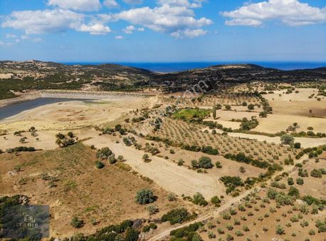 Çanakkale Ezine Alemşah Köyünde Satılık Hobi Bahçesi