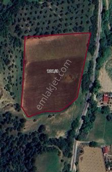 Manisa Salihli Yenipazarda Satılık Tarla