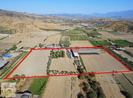 Antika'dan Sağım Sistemli Damı,ambarı Ve Evi Olan Çiftlik