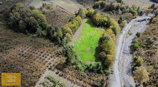 Deka Gayrimenkul'den Düzköy'de Şelale Yanısatılık 9.182 M² Tarla