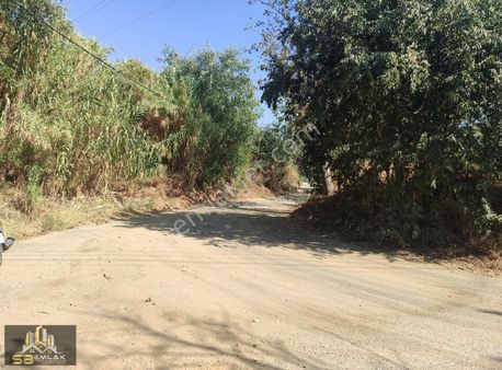 Sb Emlak Ofisinden Boynuyoğun Mahallesinde Yatırımlık Tarla