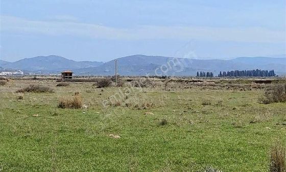 Gömeç Karaağaçda Müstakil Parsel Satılık Arsa