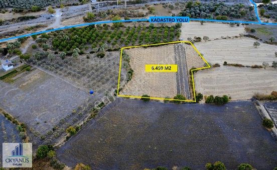 Halıtlı Da 6.450 M2 Tarla , Tek Tapu, Asfalta Yakın