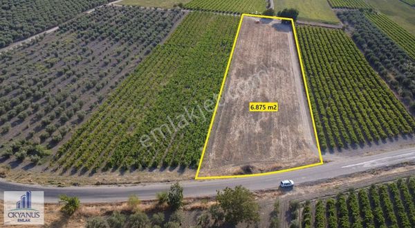 Tilkisüleymaniye De 6.875 M2 Tarla , Asfalta Sıfır