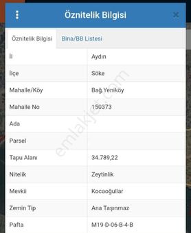 Fiyat Düştü.sökede Satılık Zeytinlik