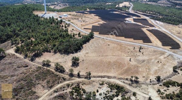 Merkez Bodurlar Satılık Doğayla İç İçe Hobi Bahçesi