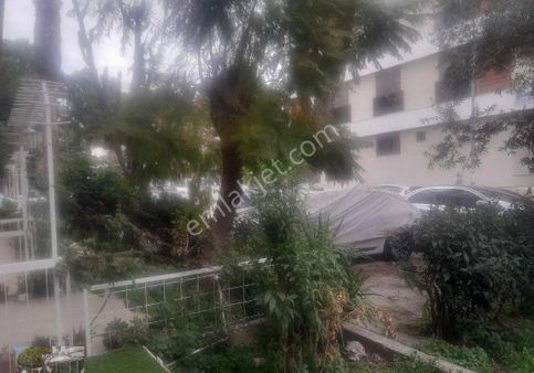 Çamlıkta Köşe Sahile Çok Yakın Arakat