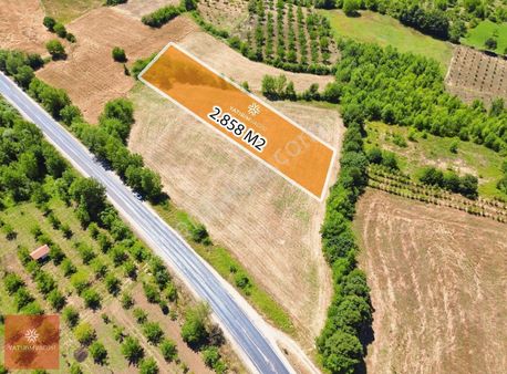 İnegöl Hacıkara Müstakil Tapulu Satılık Araziler