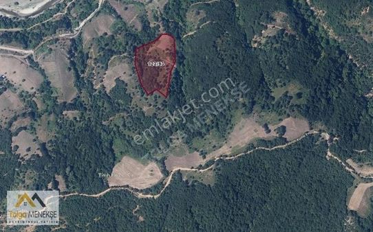 Biga Yolindi Köyünde 12.832 M² Yatırımlık Tarla