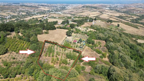 Yalova Çiftlikköy Gacık 5340 M² Merkeze Yakın Satılık Tarla