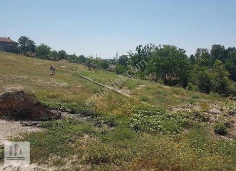 Hayrabolu Cambazdere Köy İçinde 1115m2 Satılık Tek Tapu Arsa