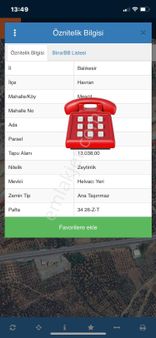 Olcaysu'dan Verimli Zeytin Ağaçları İle 13.038m2 Satılık Zeytinlik