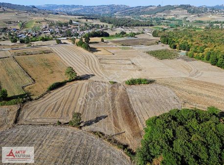 Kandıra Seyitaliler Mahallesi'nde 2663 M2 Fırsat Tarla