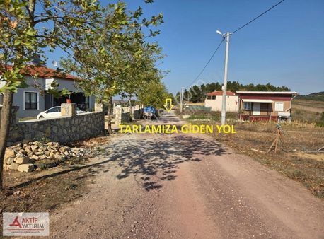 Kandıra Balcı Köyü Toplulaştırmada 3263 M2 Yatırımlık Tarla