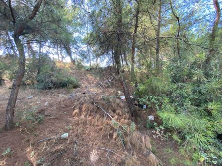 Ayrancılar’da Merkeze Yakın Tek Tapu Satılık Tarla