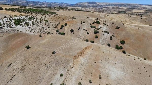İtibar'dan Yaylacık'ta Gölet Manzaralı Yatırımlık Satılık Arazi