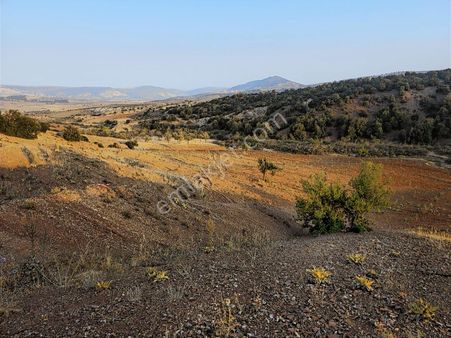 İtibar 'dan Musabeyli Çayıraltı (cibenik) Köyünde Satılık Arazi