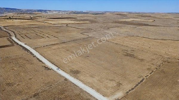 Yeni Kurulan Osb Yanında 150 Mt Asfalt Cepheli Satılık Arazi