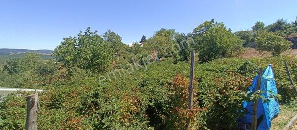 Lütfiyede Tek Tapu 813 M2 Köyiçi İmarın Dibinde Efsane Zemin