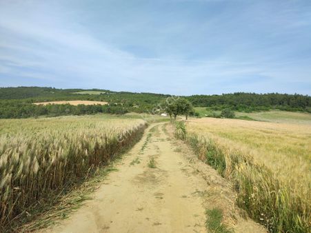 Bulut Yatırımdan 4050 M² Kaçırılmayacak Fırsatta Tarla