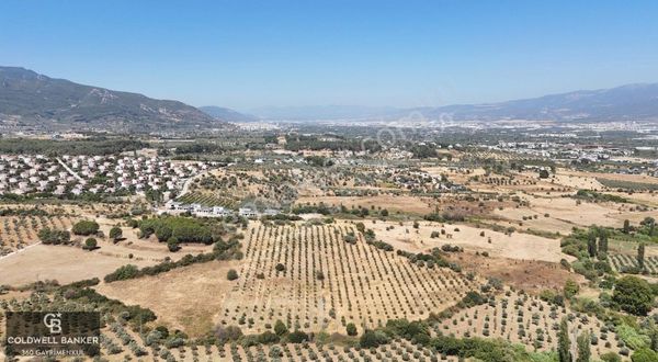 Kemalpaşa Yukarı Kızılca Satılık Villa İmarlı Arsalar