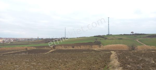 Hayrabolu Çerkezmüsellim De 2400 M2 Müstakil Tapu Satılık Tarla