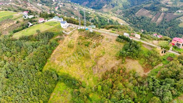 Anka Gayrimenkul'den Trabzon Akçaabat'da Satılık 12,458 M2 Arazi