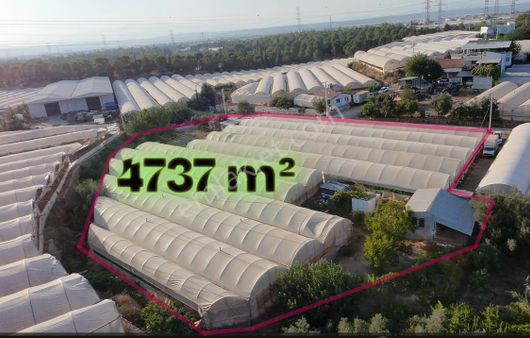 Aksu Çamköy Mah Satılık Tarla