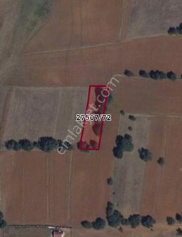 Yarımca Mahallesi'nde Satılık Fırsat Tarla