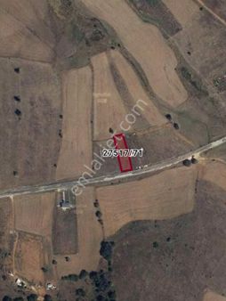 Yarımca Mahallesi'nde Satılık Fırsat Yola Sıfır Tarla