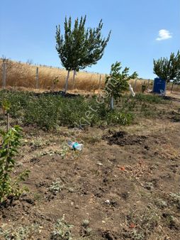 Karataş İnşaat’tan Satılık Tarla 477 Metre