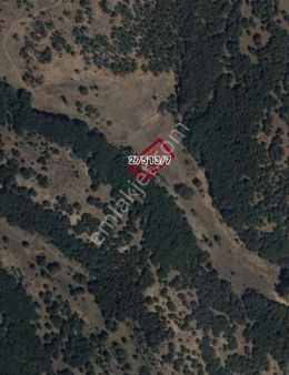 Yarımca Mahallesi'nde Satılık Fırsat Tarla