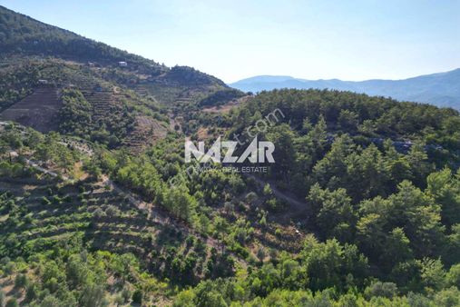 Alanya Fakırcalı’da 499 M² Satılık Tarla