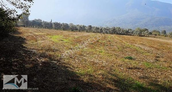 Acil Satılık - Bursa / Orhangazi 'de Fırsat Arsa