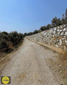 Çakaltepede Asfalta Sıfır Tek Tapu Tarla