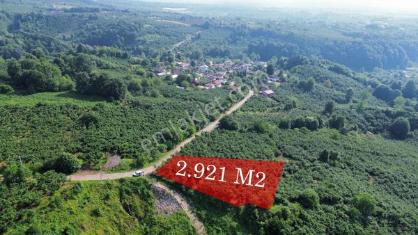 Doğanın Kalbinde, Yatırım Değeri Yüksek Bir Fırsatla Karşınızdayız