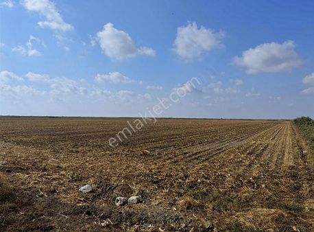 Adahan'dan Kesik Köyüne Yakın 100 Dönüm Tarla
