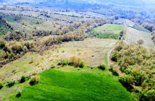 Satılık 21 Dönüm Tarla – Yatırımlık Fırsat!