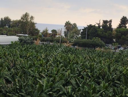 Alanya Kargıcak Mah Satılık Daire