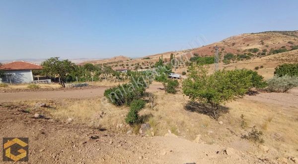 1321 M2 Merkeze Yakın Bahçe İçin Uygun Arazi