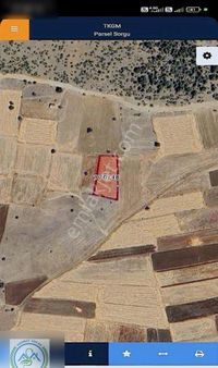 Son Fırsat! Denizli Çardakta 2.869 M² Yatırımlık Tarla