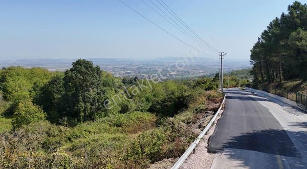 Serdivan Çubuklu Mah. Asfalt Yol Kenarı 1686 M2 Satılık Tarla