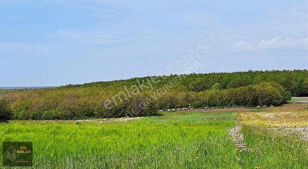 Silivri Gümüşpınar Muvafakatname Tapulu Eşsiz Özel Satılık Tarla